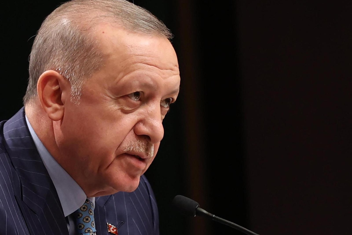 Turquie : le président Erdogan limoge son statisticien en chef